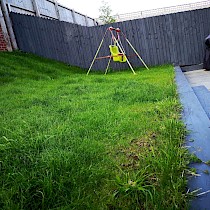 landscaping3.jpg